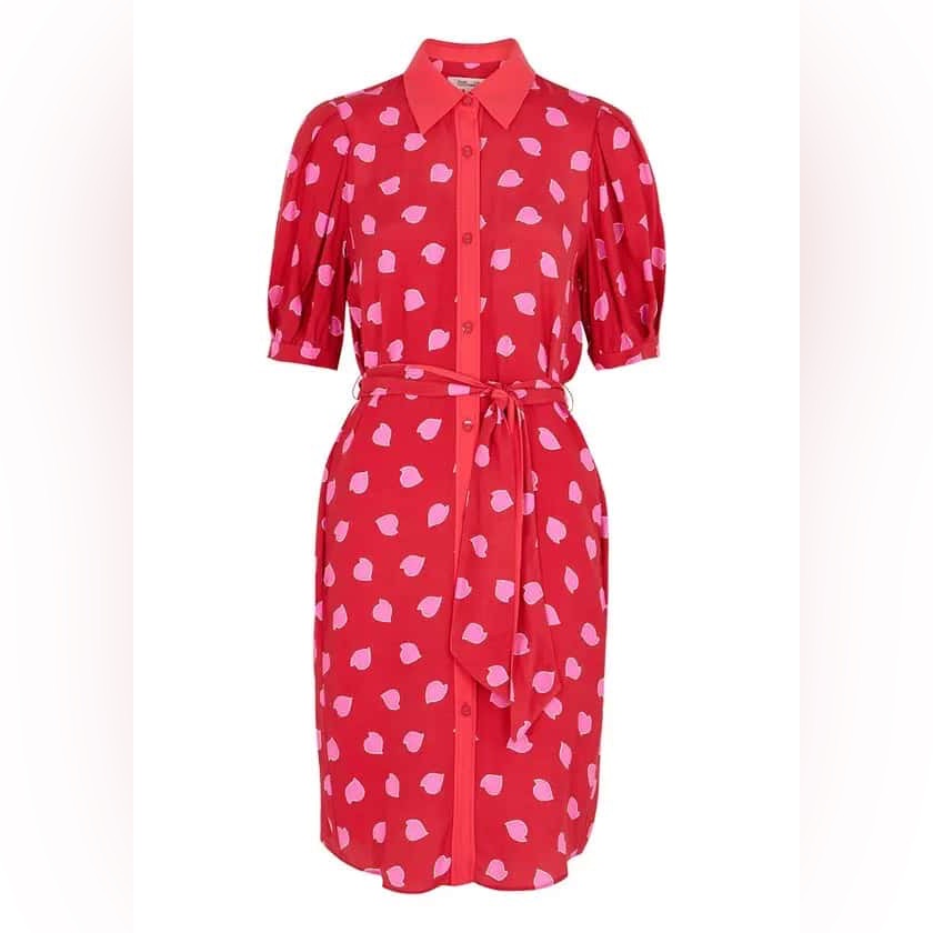 Dvf Amanda Printed Crepe De Chine Shirt Dress Nwt Size 6